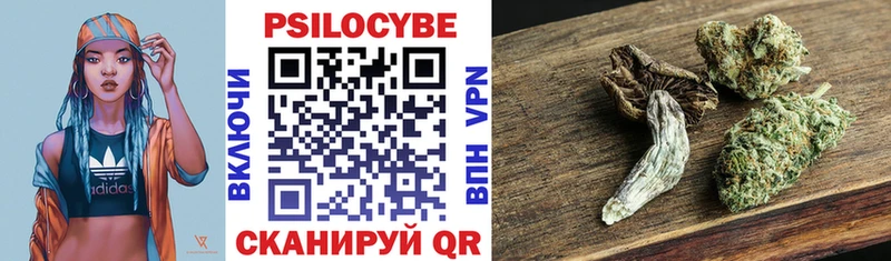 Купить где  Вятские Поляны  Галлюциногенные грибы мицелий 